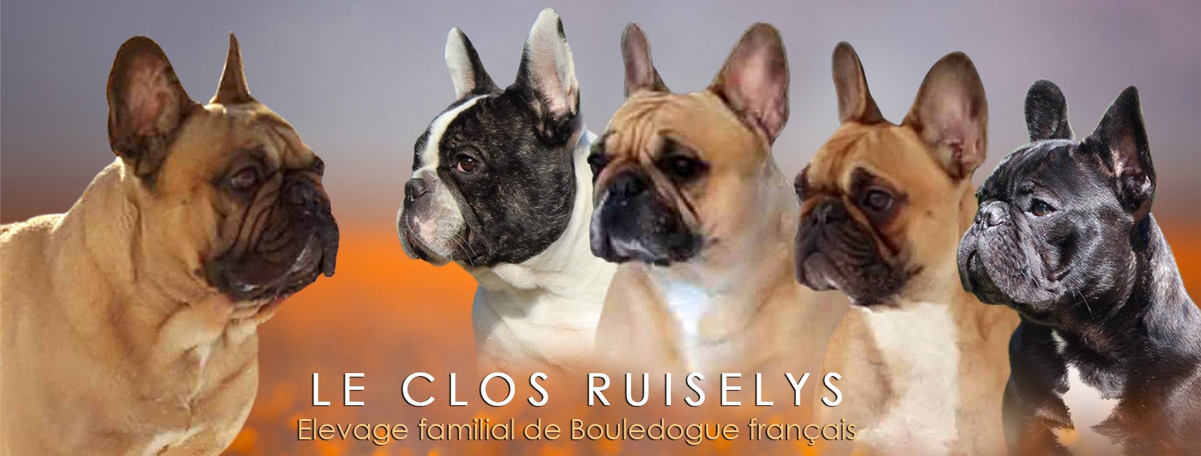 du clos ruiselys